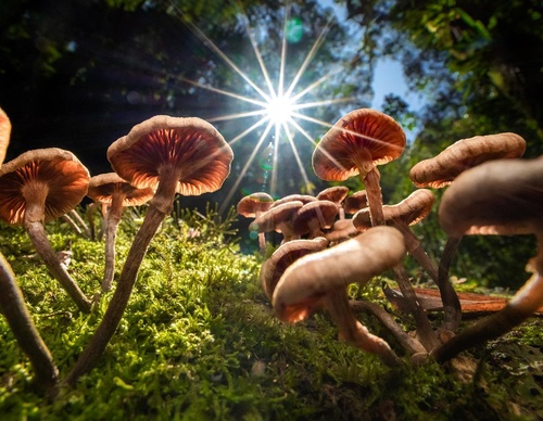 Gallery Of Photography By Fernando Faciole - Brazil