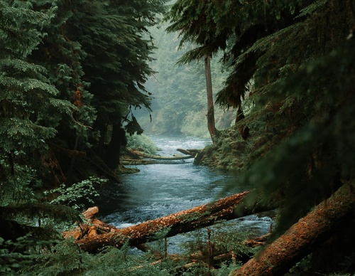 Gallery Of Photography By Chris Henry - USA