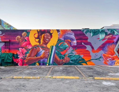 Galeria de arte de rua de Nestor Garcia Aka - República Dominicana