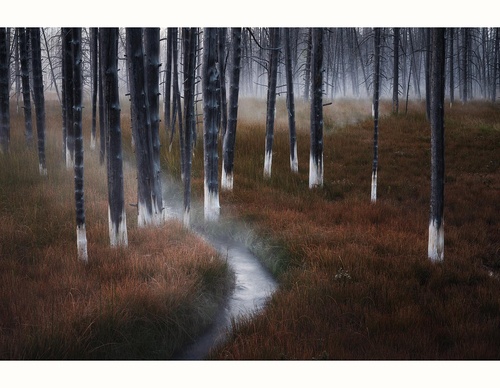 Galeria de Fotografia de Isaac Spotts - EUA