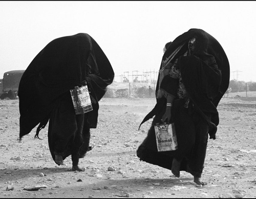 leonard freed