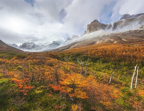 Gallery Of Photography By Rodrigo Viveros - Chile