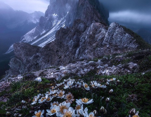 Gallery Of Photography By Isabella Tabacchi - Chile