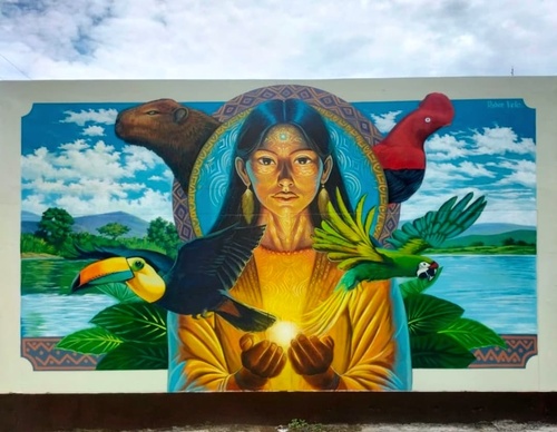robin vela