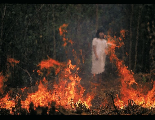 Gallery Of Photography By Sebastian Suki Belaustegui - Brazil