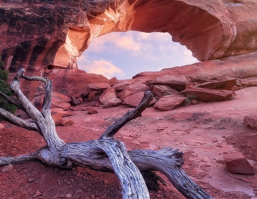 Galeria de fotografias de John Haymore - EUA