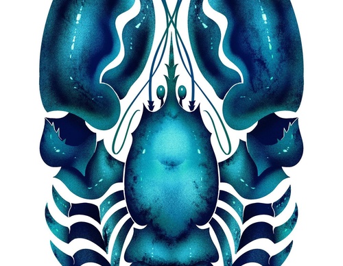 Gallery Of Illustration By Tom Booth - Usa