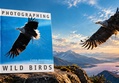 Photographing Wild Birds — Chris Gomersall