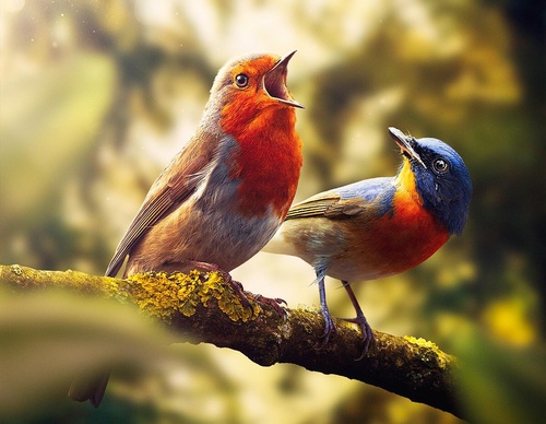 Galeria de ilustrações de João Cunico - Brasil