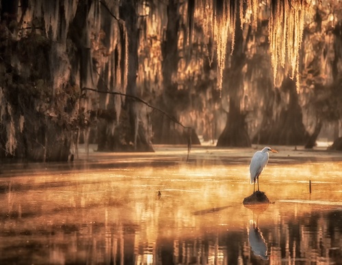 Gallery Of Photography By Marco Gaiotti - Brazil