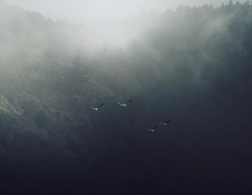 Gallery Of Photography By Rocio Del Valle - Chile