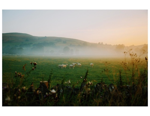Gallery Of Photography By Daniel Casson - England