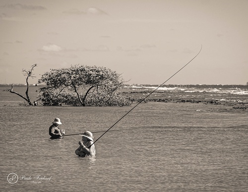 Gallery Of Photography By Norberto Kreutzer Fruhauf - Brazil