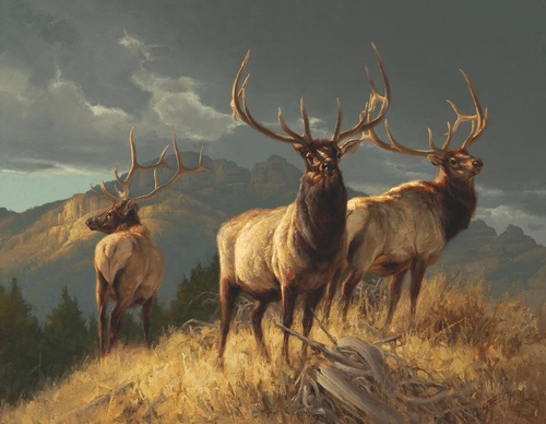 Gallery Of Painting By Greg Beecham - USA