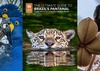 Brazil's Pantanal: South America's Grandest Wildlife Realm