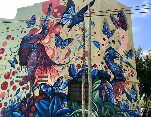 Gallery Of Street Art By Fio Silva - Argentina
