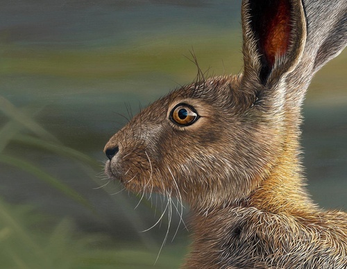 Galería de pintura realista de Annie Drew - Reino Unido