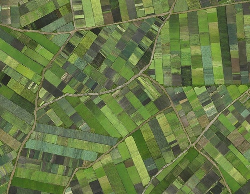 Gallery Of Photography By Cassio Vasconcellos - Brazil
