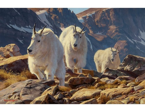 Gallery Of Oil Painting By Dustin Van Wechel - USA