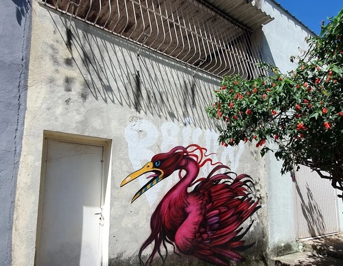 Gallery Of Street Art By Bailon - Brazil