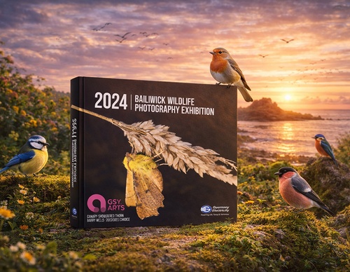 Exposición de Fotografía de Vida Silvestre 2024