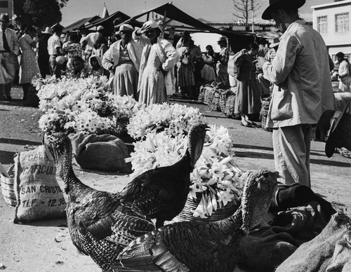 Gallery Of Photography By Leo Matiz - Colombia