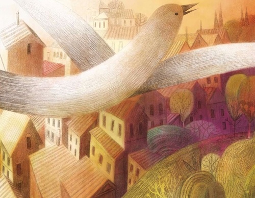 Gallery of illustration by Rogério Coelho from brazil