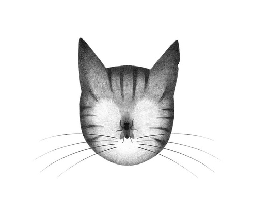 Galeria de ilustrações de Alefes Silva-Colômbia