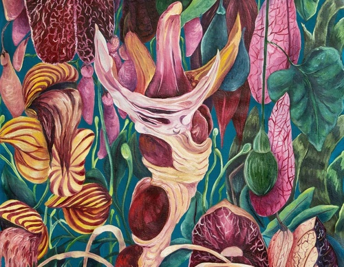 Gallery Of Painting By Alicia Nakatsuka - Argentina