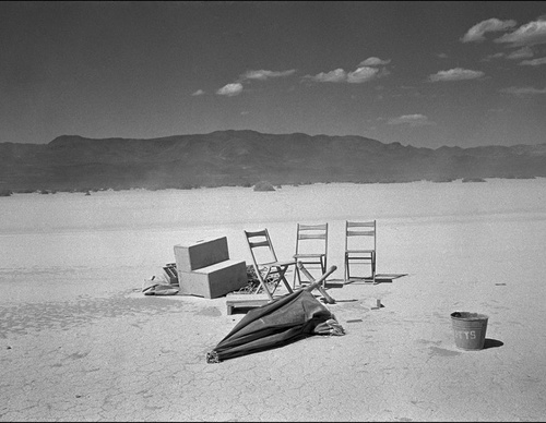 cornell capa