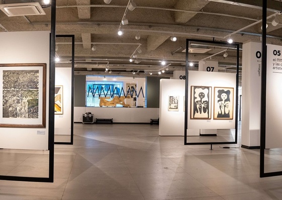 Campo e contracampo nas artes midiáticas da Argentina
