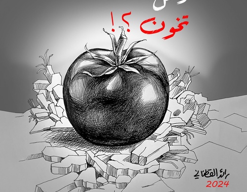 raed yousef qatanani