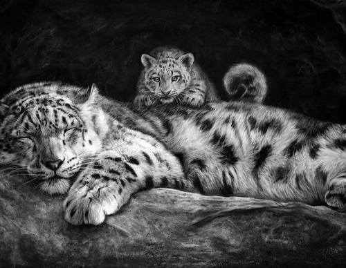 Gallery Of Realistic Painting By Daniel Wilson - United Kingdom