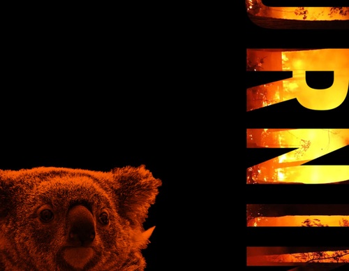 blank poster animal