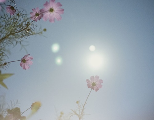 gregory halpern