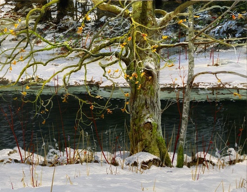 Gallery Of Realistic Painting By Renato Muccillo - Canada