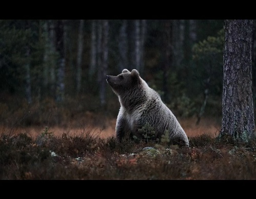 Gallery Of Photography By Elias Kalliola - USA