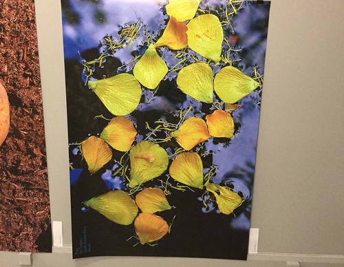 swiss posters