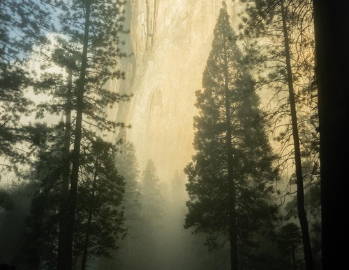 Galeria de fotografias de Tyler Glass - EUA