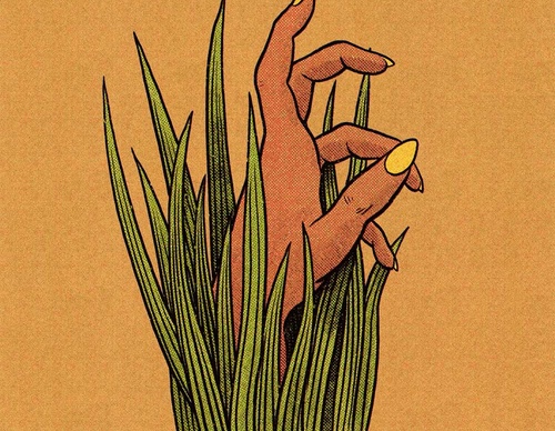 pedro correa