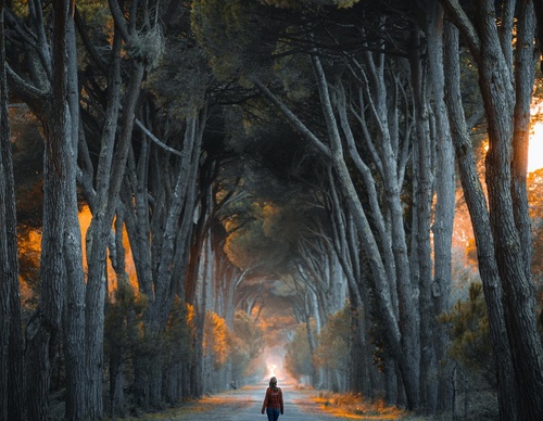 Galeria de fotografias de Long-Nong Huang - Alemanha