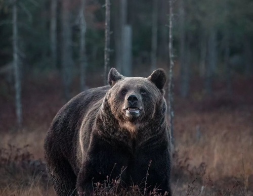 Gallery Of Photography By Elias Kalliola - USA