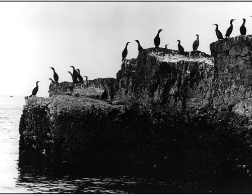 martine franck