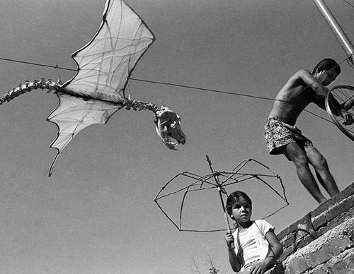 raul canibano