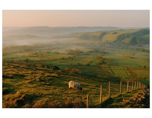 Gallery Of Photography By Daniel Casson - England