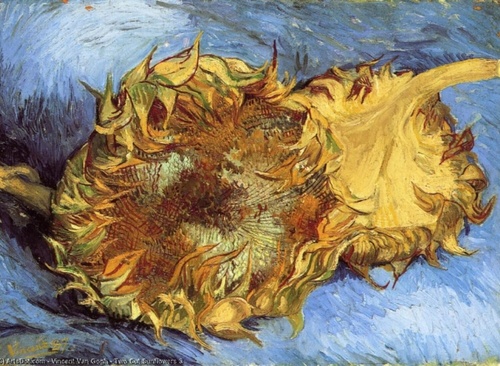 Modern Art: Rupture, Experimentation, and New Visions of the World