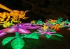 The Magic of Light and Color