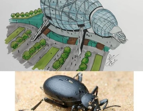 Gallery Of Sketching By Felipe de Castro - Brazil