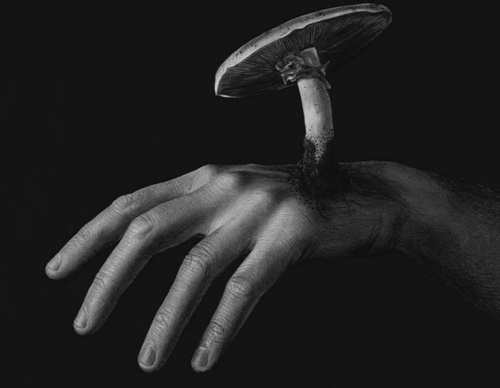 Gallery Of Realistic Painting By Emma Towers Evans - Brazil