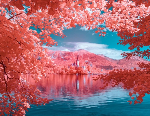 Gallery Of Photography By Paolo Pettigiani - Italy